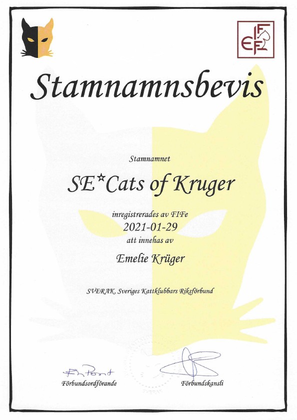 Stamnamnsbevis Cats of Kruger